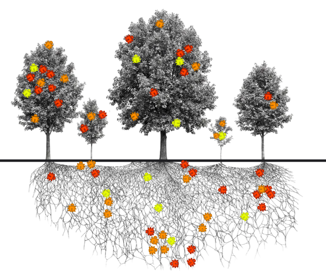 Bäume mit vielen farbigen Bugs in Krone und Wurzeln als Symbol für zahlreiche erkannte Muster und Probleme
